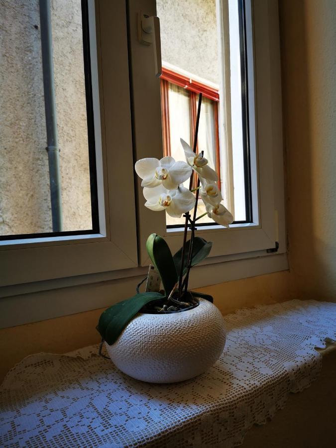 הוילה קנוביו Casa Ida מראה חיצוני תמונה